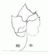 裕丰