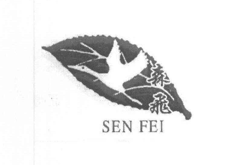森飞