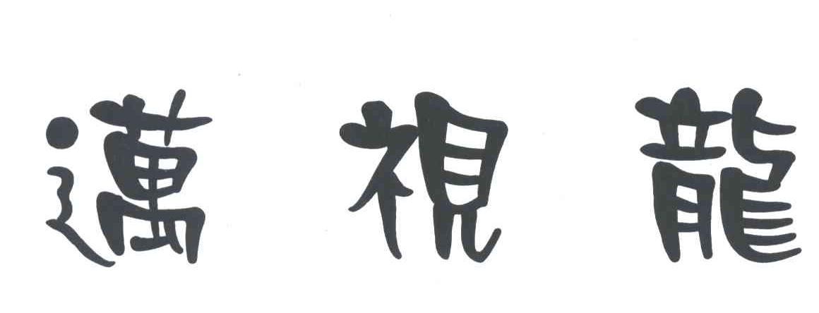 迈视龙