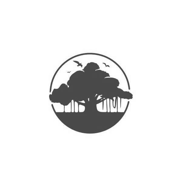 图形