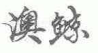 澳鲸