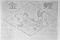 金鲤