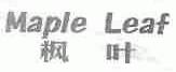 枫叶;MAPLE LEAF
