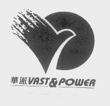 华派   VAST&POWER