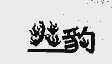 豹