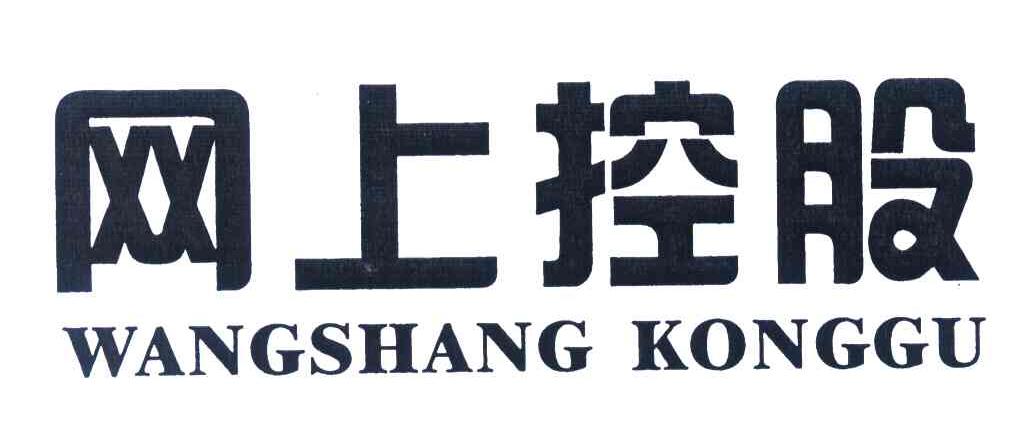 网上控股