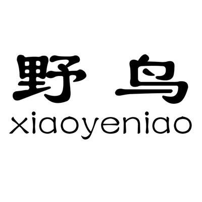 野鸟 XIAOYENIAO