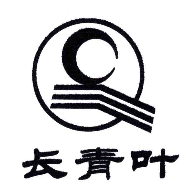 长青叶