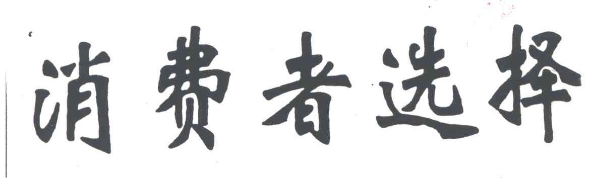 消费者选择
