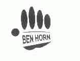 BEN HORN