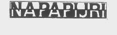 NAPAPIJRI