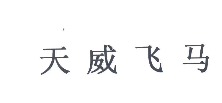 天威飞马