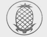菠萝