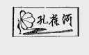 孔雀河