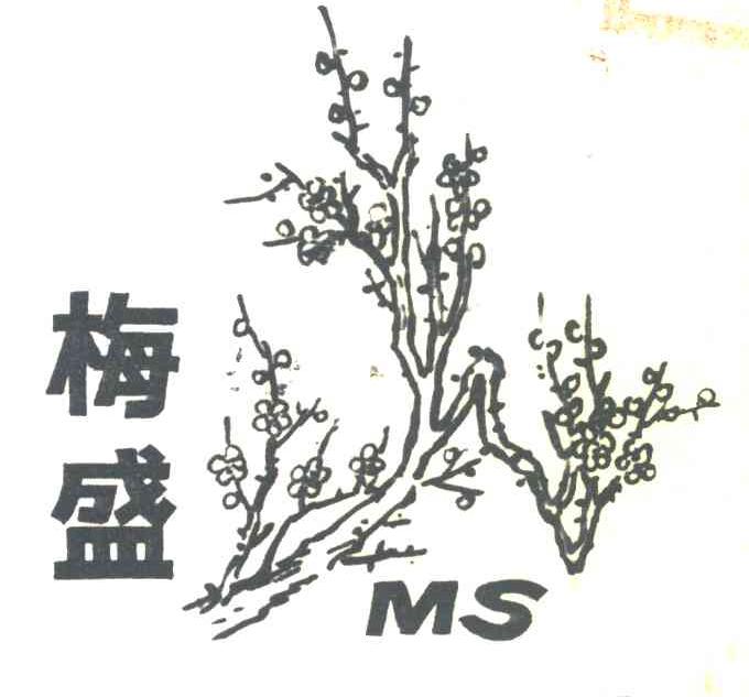 梅盛