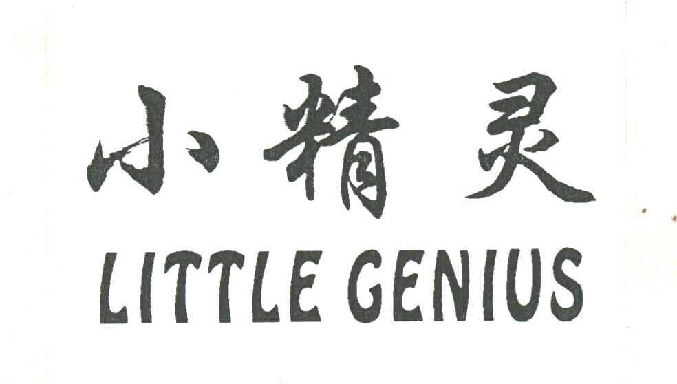 小精灵LITTLE GENIUS