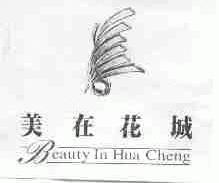 美在花城;BEAUTY IN HUA CHENG