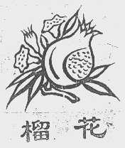 榴花