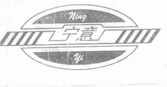 宁意