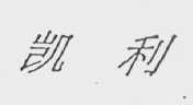 凯利