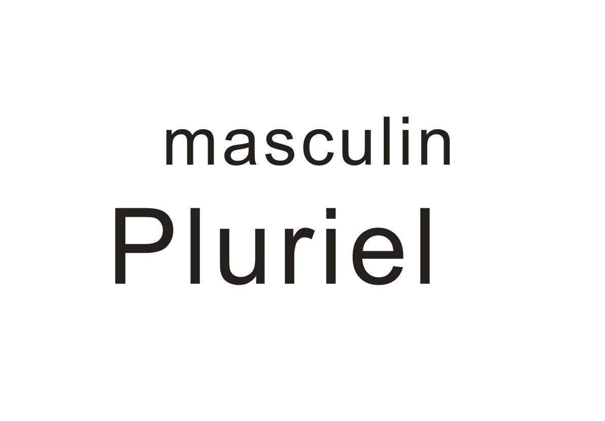MASCULIN PLURIEL