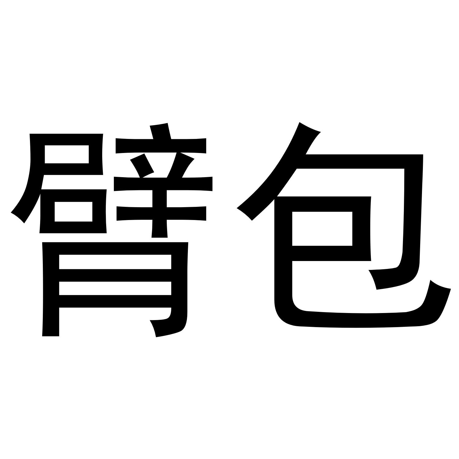 臂包