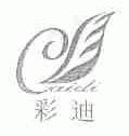 彩迪