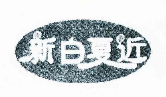 新白夏近