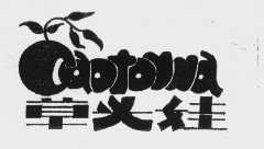 草头娃