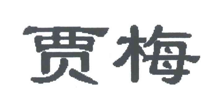 贾梅
