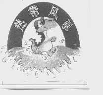 热带风暴