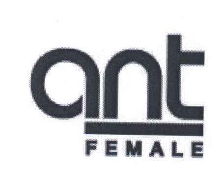 ANT FEMALE