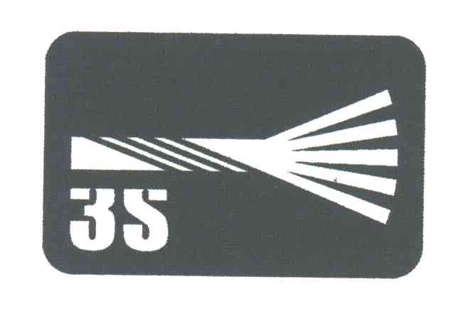 3S