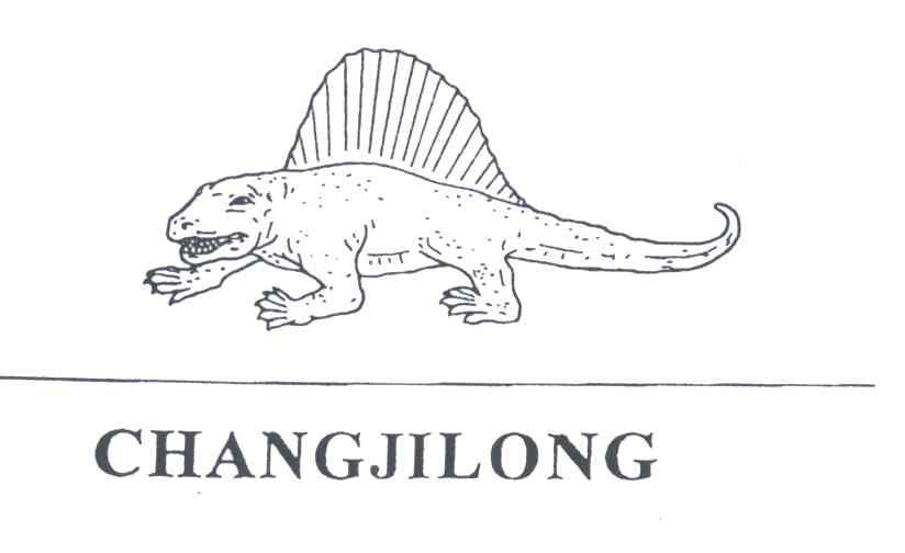 CHANGJILONG及图