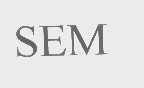 SEM