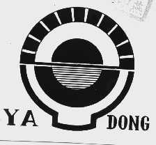 YA DONG