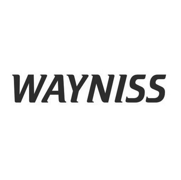 WAYNISS