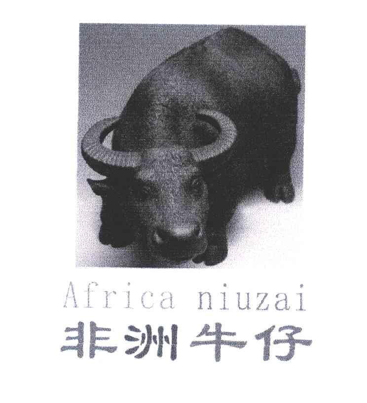 非洲牛仔 AFRICA NIUZAI