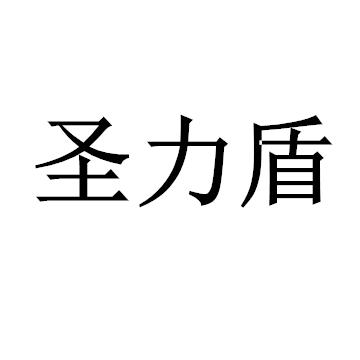 圣力盾