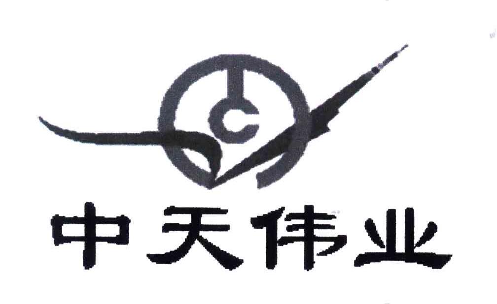 中天伟业