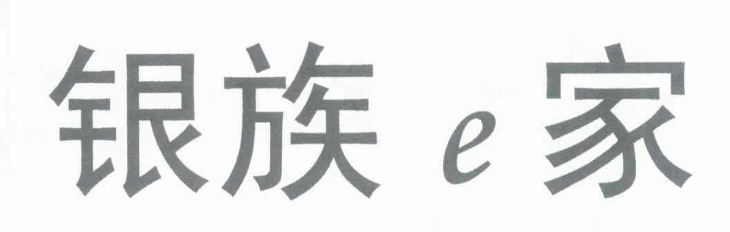 银族E家