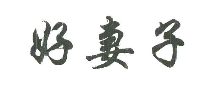 好妻子