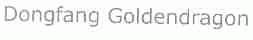 DONGFANG GOLDENDRAGON