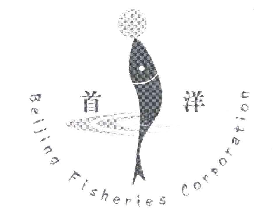 首洋