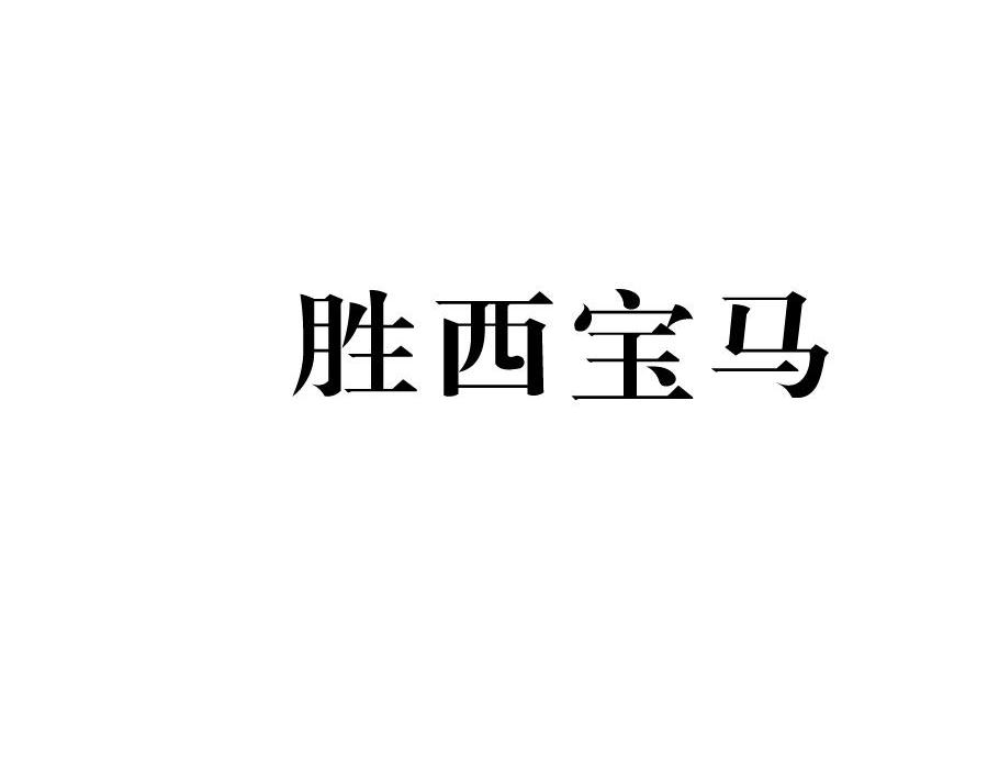 胜西宝马