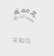 求知鸟