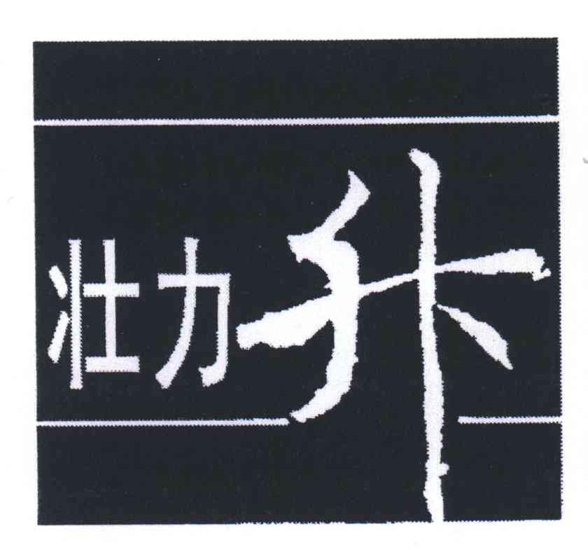 壮力升