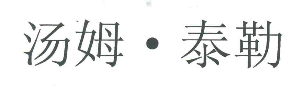 汤姆泰勒