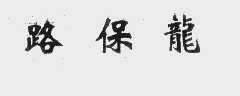 路保龙