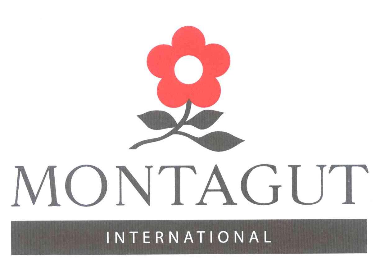 MONTAGUT INTERNATIONAL